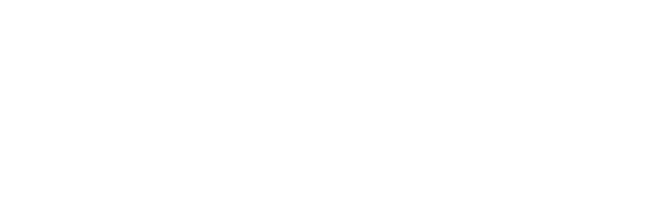 The Magnum Ice Cream Company